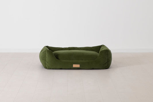 Vine Image 01 - K9 02 Medium Front View