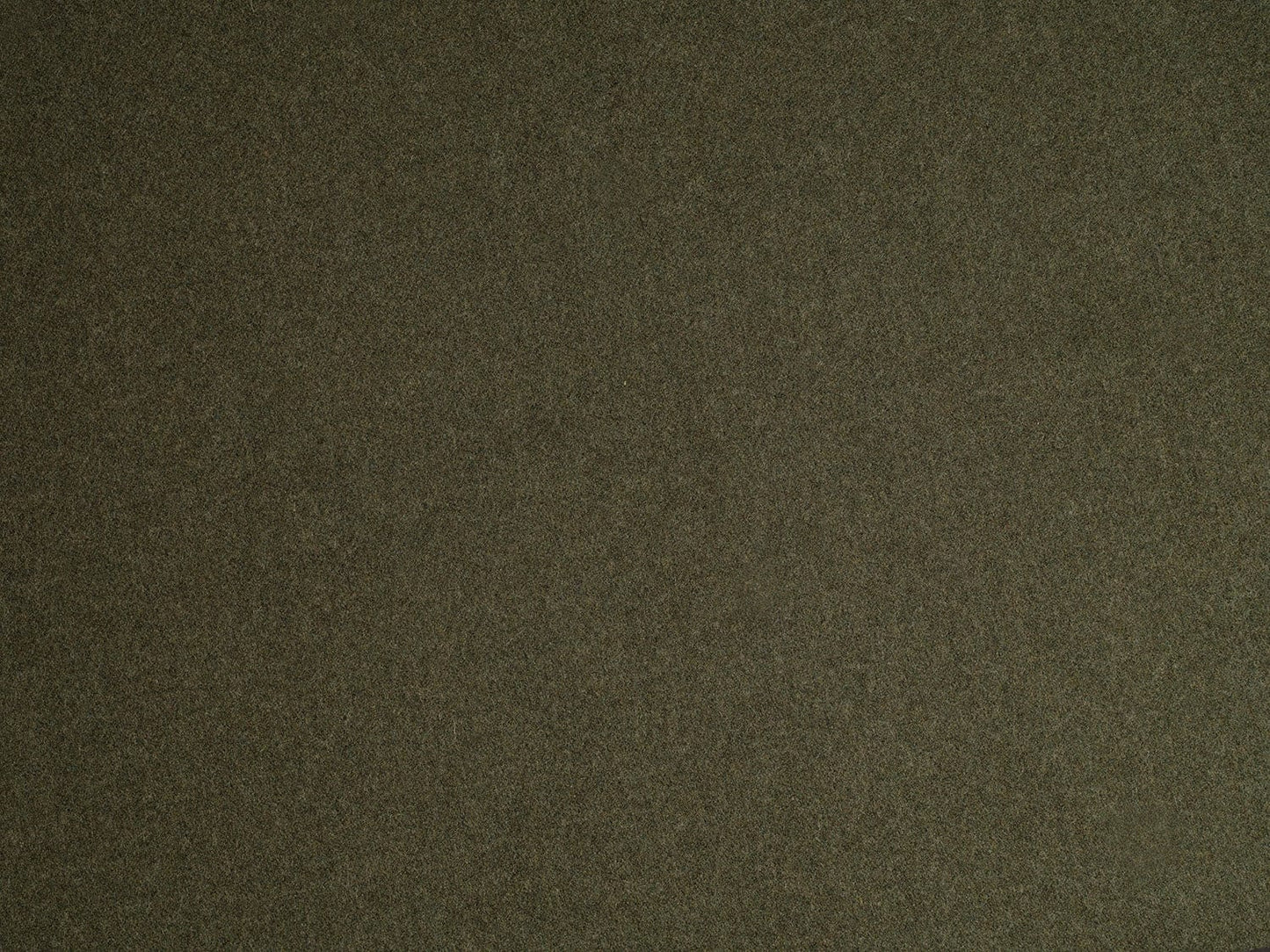 Image 1 Willow