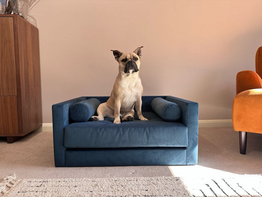 blue dog bed 