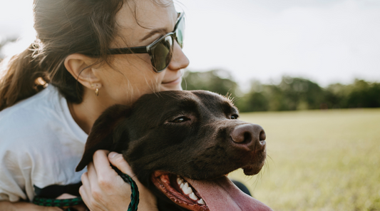 Easy pet-friendly hacks for your living room