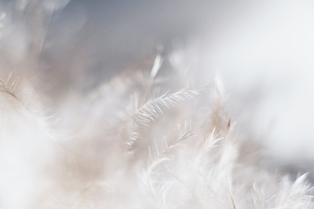 Feather Filled Sofas