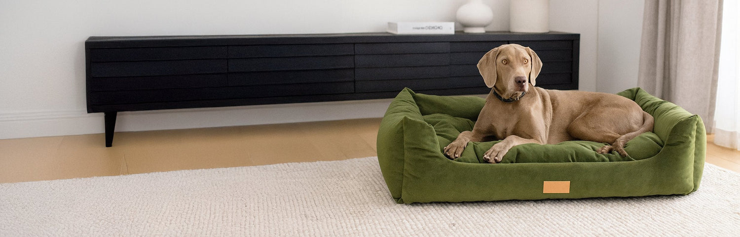 Dog Beds