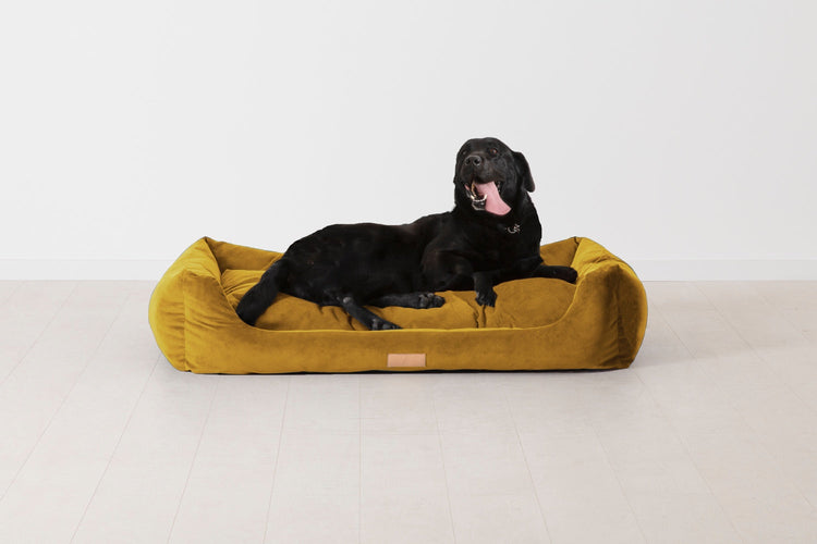 Dog Beds