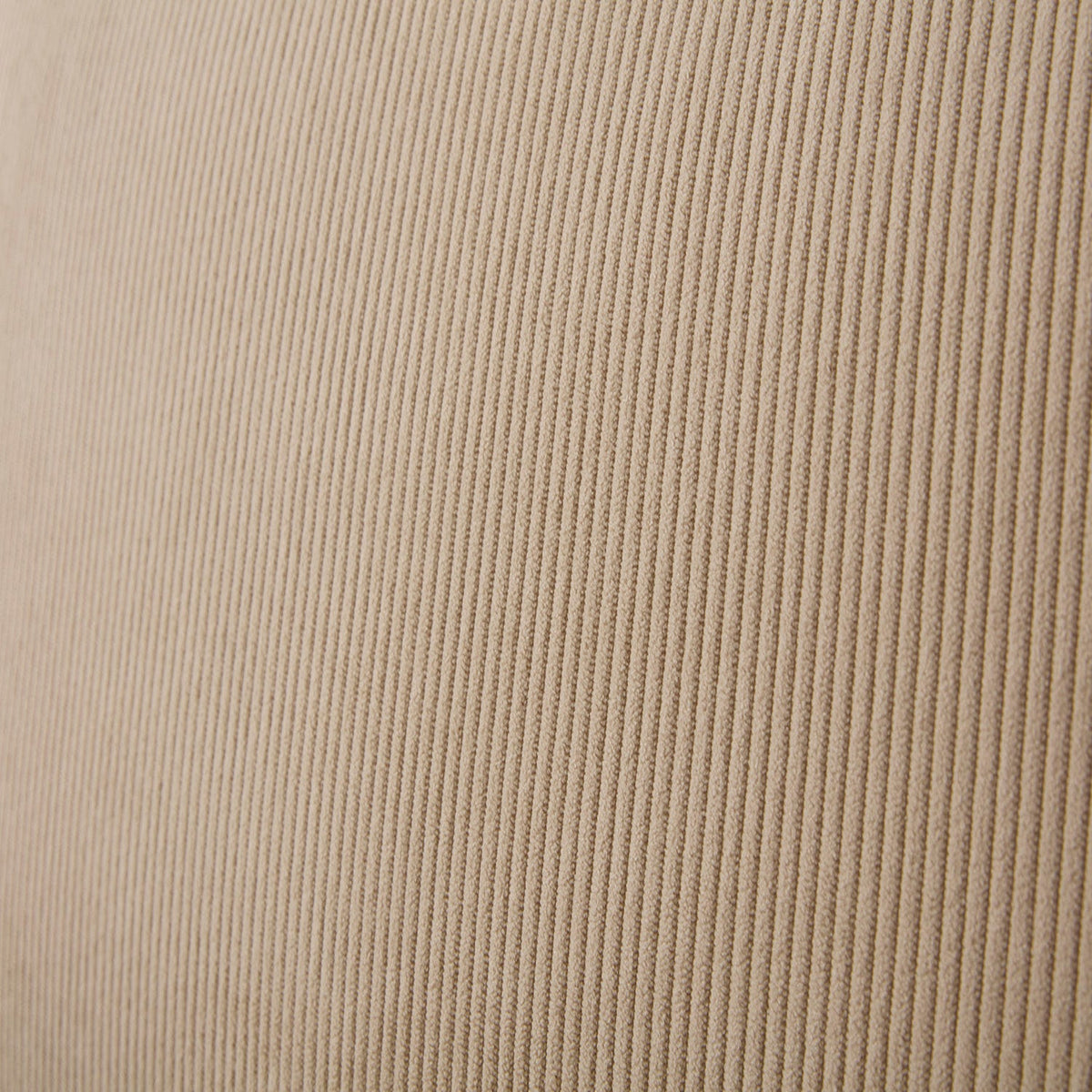 sand, fennel, atlantic